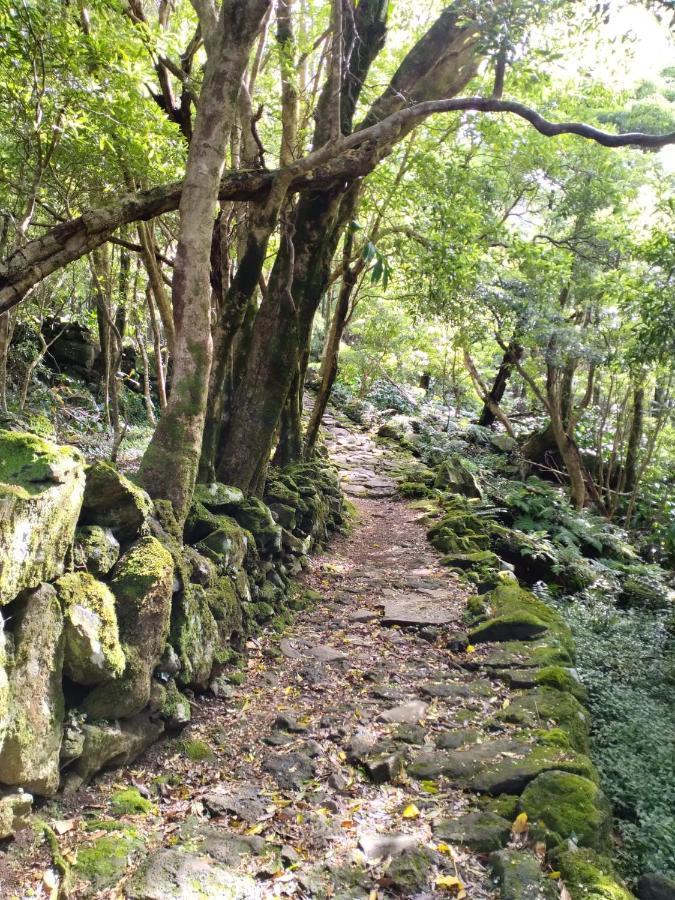 Alojamento Local M&I Lajes das Flores Luaran gambar